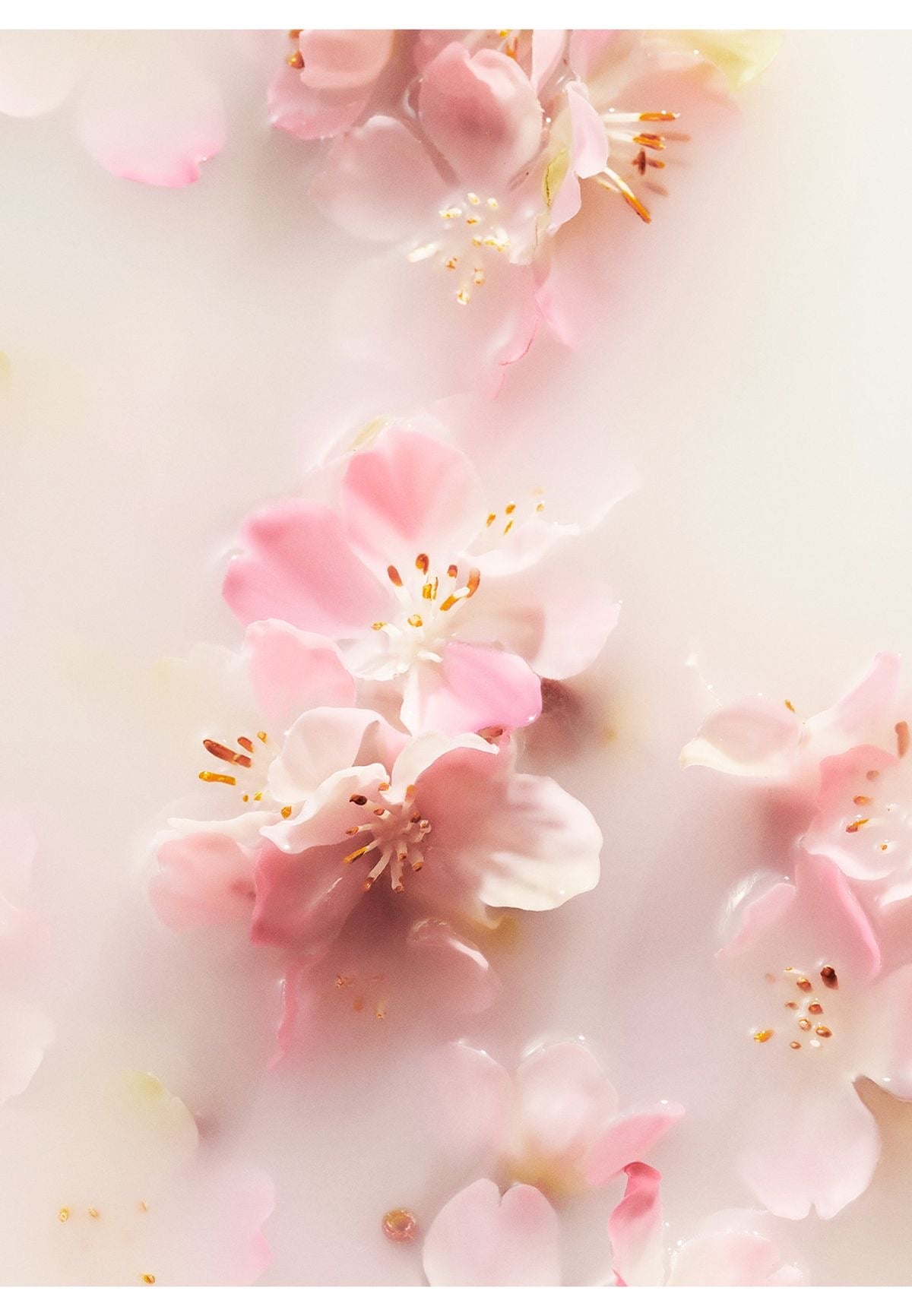 The Ritual of Sakura Foaming Shower Gel
