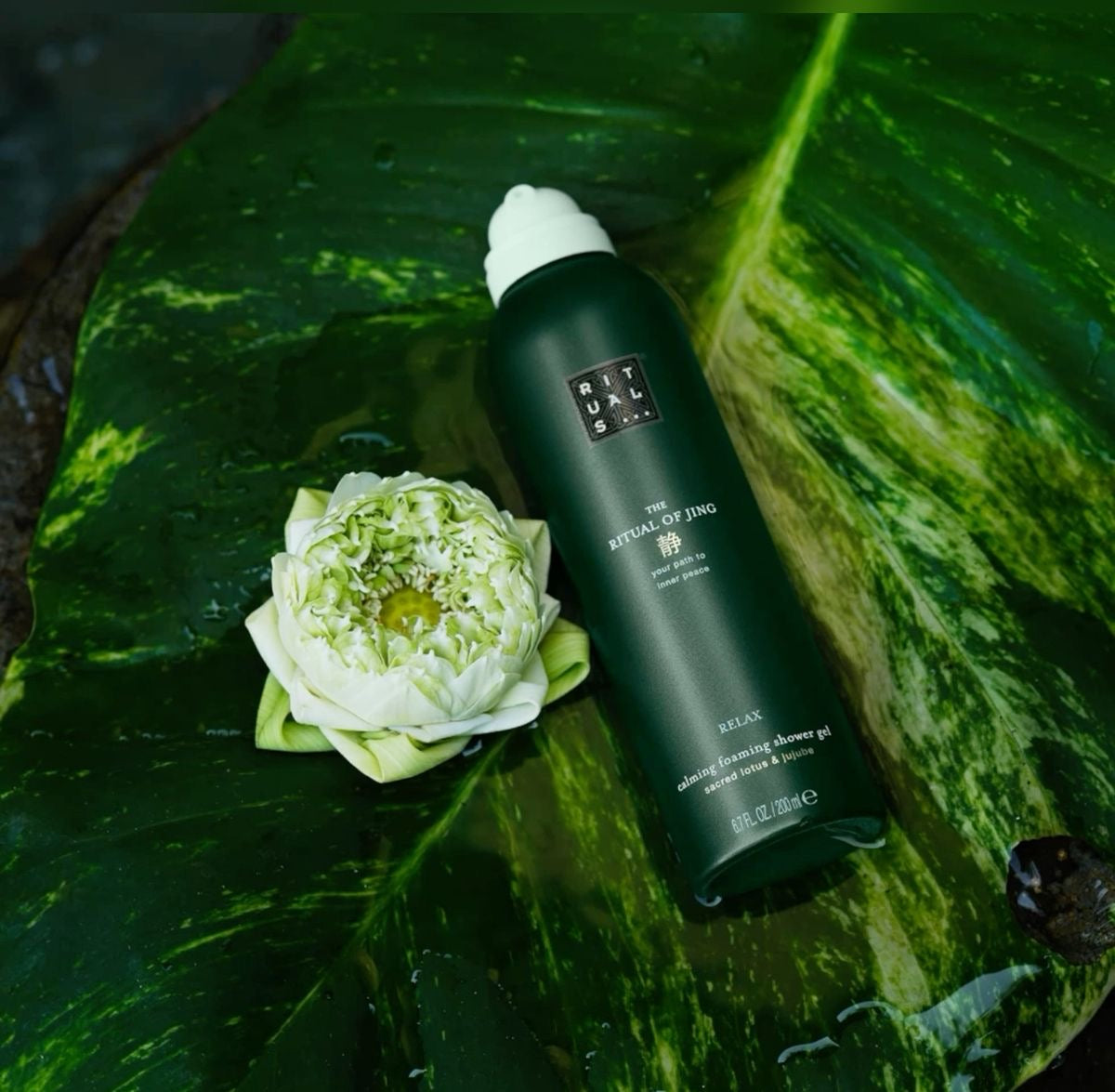 The Ritual of Jing Foaming Shower Gel